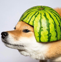Watermelon_dog Discord emoji