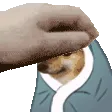 baaahgPet baaahgPet