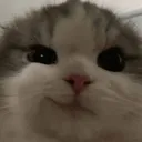 smudgeCatz