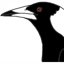 PoorlyDrawnMagpieMerp