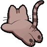 Catrun catRun Discord Emoji