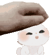 rabbit_pat