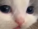 por_que