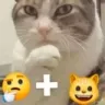 gatobaboso