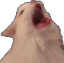 pA_catScream Discord emoji