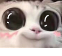 pA_catAnticipation1 Discord emoji