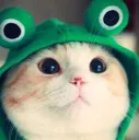 s_catfrog Discord Emoji
