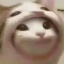 popcatzoom Discord Emoji