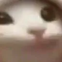 popcatsuperzoom Discord Emoji