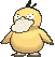 PC_Psyduck