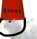 kneasbucket