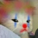 Clowncat clowncat Discord Emoji