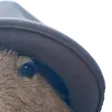cbeefRoger2