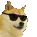 A_cooldoge