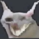 catwhasdead