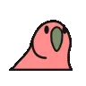 mitbirb mitbirb