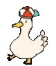duckdance