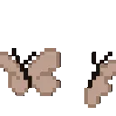 brown_butterflies