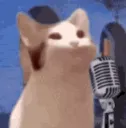 B_shout
