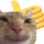 CatGoodJob