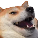 KEKDog