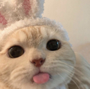 blee Discord emoji