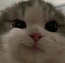 tssktssk Discord emoji