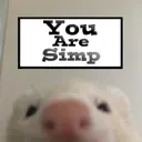 you_are_simp