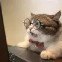 catworking Discord Emoji