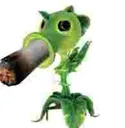 peasmoker