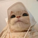 cat_cute_hat Discord emoji