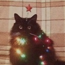 cat_christmas Discord emoji