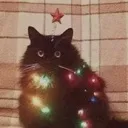 cat_christmas