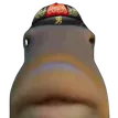 cina