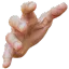 grab_right