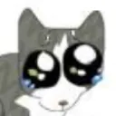 y_ y_