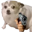 concerndoggoGun