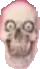 skullllllll