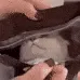 ch_catinthebag