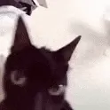 ch_seizure