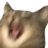 screm