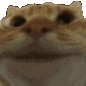 880766490587041802