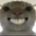 YES