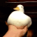 FTGPduckswimmy