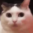 HmYourTittiesLookScrumptious
