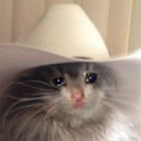 NIK_sad_cat Discord emoji