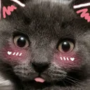 SoraDerp SoraDerp