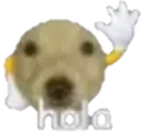 martines_hola Discord emoji
