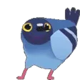 birddance