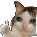 sadcat_fine Discord Emoji